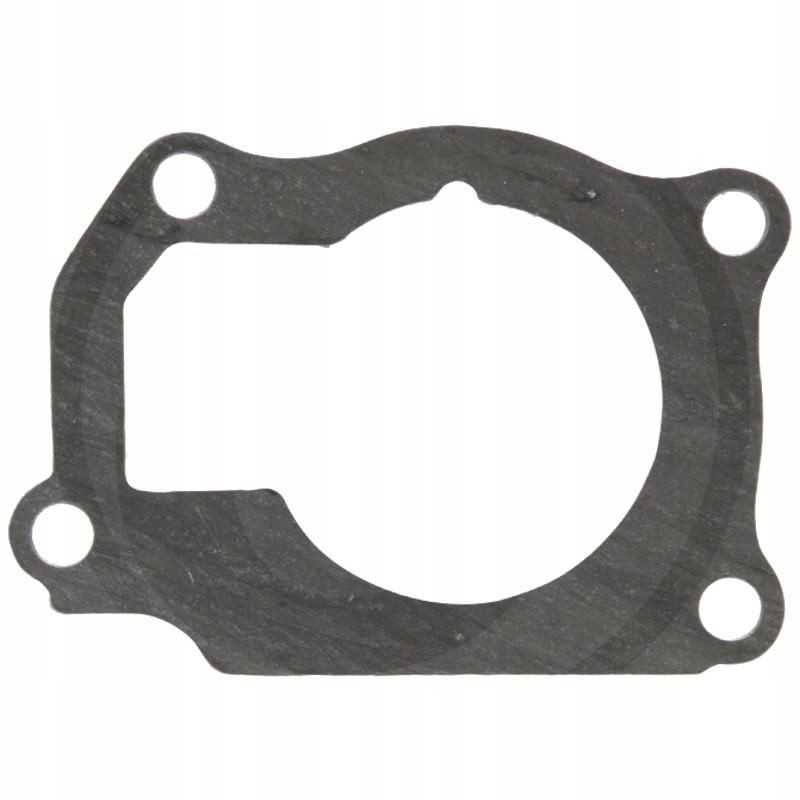 Korpuso tarpiklis 703816r4