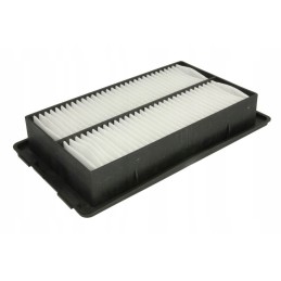 Donaldson išjungtas p500249 oro filtras