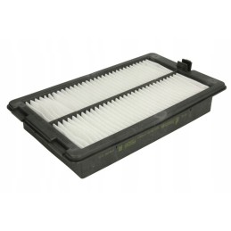 Donaldson išjungtas p500249 oro filtras