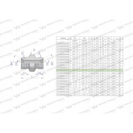 Hidraulinės srovės mažinimo jungtis colis bb 3 8 x 3 4 š