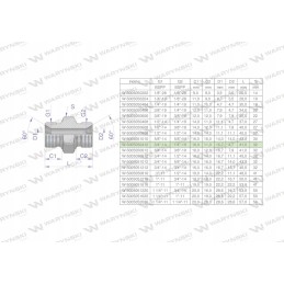 Hidraulinės srovės mažinimo jungtis colis bb 1 4 x 3 4 š