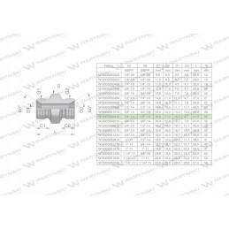 Hidraulinės srovės mažinimo jungtis colis bb 1 4 x 3 4 š