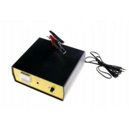 Saugus lygintuvas 12v 15a motogeneric