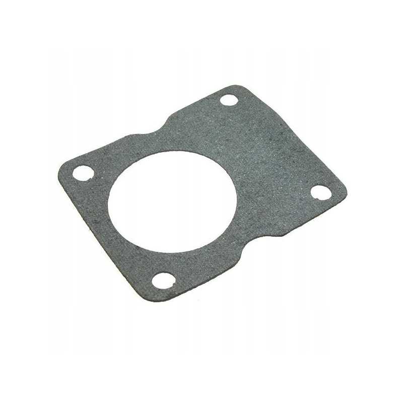 Vidinis siurblio tvirtinimo guolio korpuso sandariklis