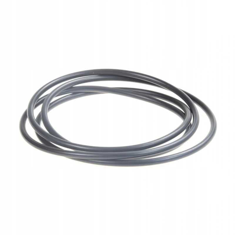 Fendt turbo sankabos sandarinimo žiedas x549046900000 originalus