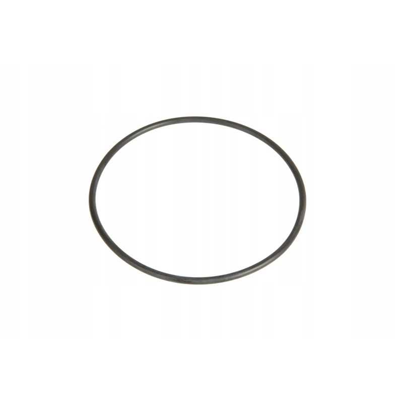 7700008731 sandarinimo žiedas