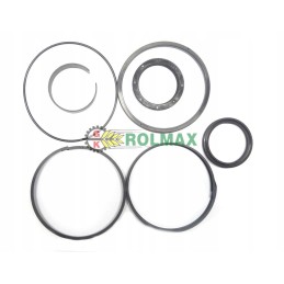 New Holland CNH 8653940 cilindro sandarinimo komplektas