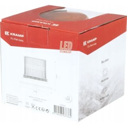 LED blykstės lempa 10 110v, prisukama