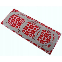 Galutinių pavaros tarpiklių rinkinys 50528020 50