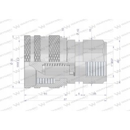 Prisukama greitoji hidraulinė jungtis, G1 kištukas