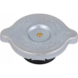 Radiatoriaus dangtelis 24850020n