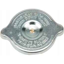 Radiatoriaus dangtelis 24850020n