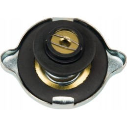 Radiatoriaus dangtelis 24850020n