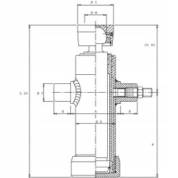 Išvertimo cilindras su guoliu, dviejų pakopų taktas 495