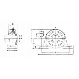 Guolis su korpusu ucp ucp204tim