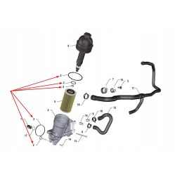 K0067188 alyvos filtro korpuso O žiedų komplektas