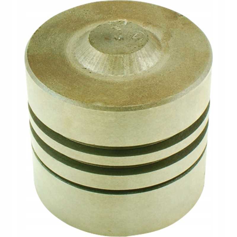 C 385 agtech kėlimo stūmoklis