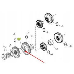 6005022532 tarpiklis