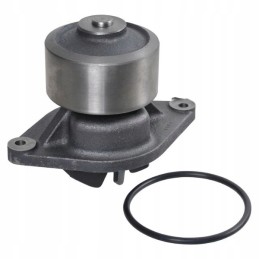 Vandens siurblio korpusas maxxum jx jxu new holland