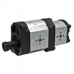 Dvigubas siurblys kairioji kryptis 2560510766313