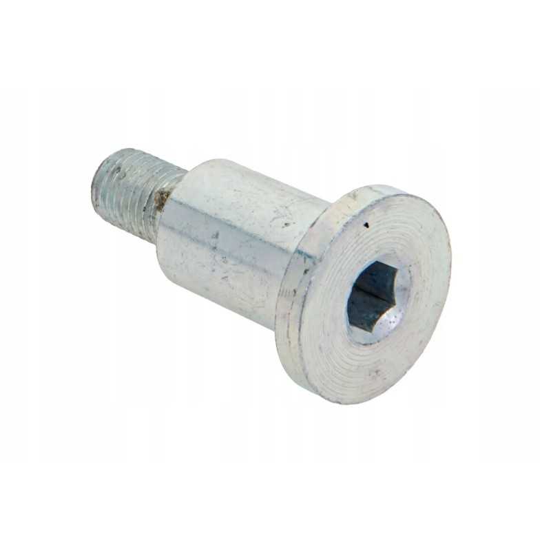 P5s43105109 savireguliacinis varžtas m8 x 1