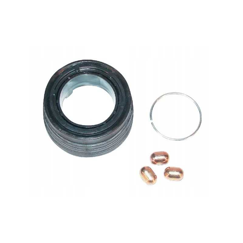 Agras automatinio greito jungiklio remonto komplektas