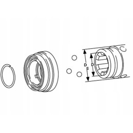 Agras automatinio greito jungiklio remonto komplektas