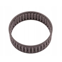 Adatinis ritininis guolis 54310194 k60x65x20 rm k60x65x20