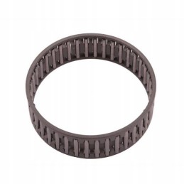 Adatinis ritininis guolis 54310194 k60x65x20 rm k60x65x20