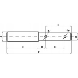 Viršutinės jungties kaištis 19 mm 25 mm 1 kat. 2 galai
