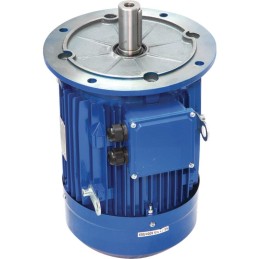 Elektros variklis 132m 4 b3 5 4 6 7 5 85004059