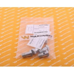 Colinis perpildymo kilpos varžtas g1 4 19 Warynski