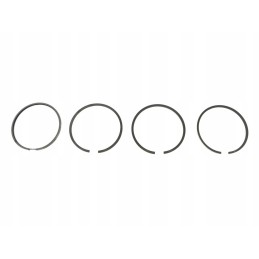 Variklio stūmoklių žiedų rinkinys zetor 6911 0096 6911