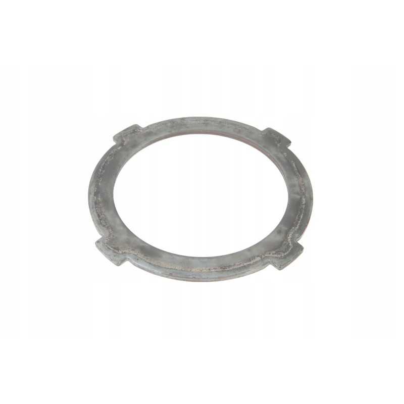 0011125300 frikcinis diskas