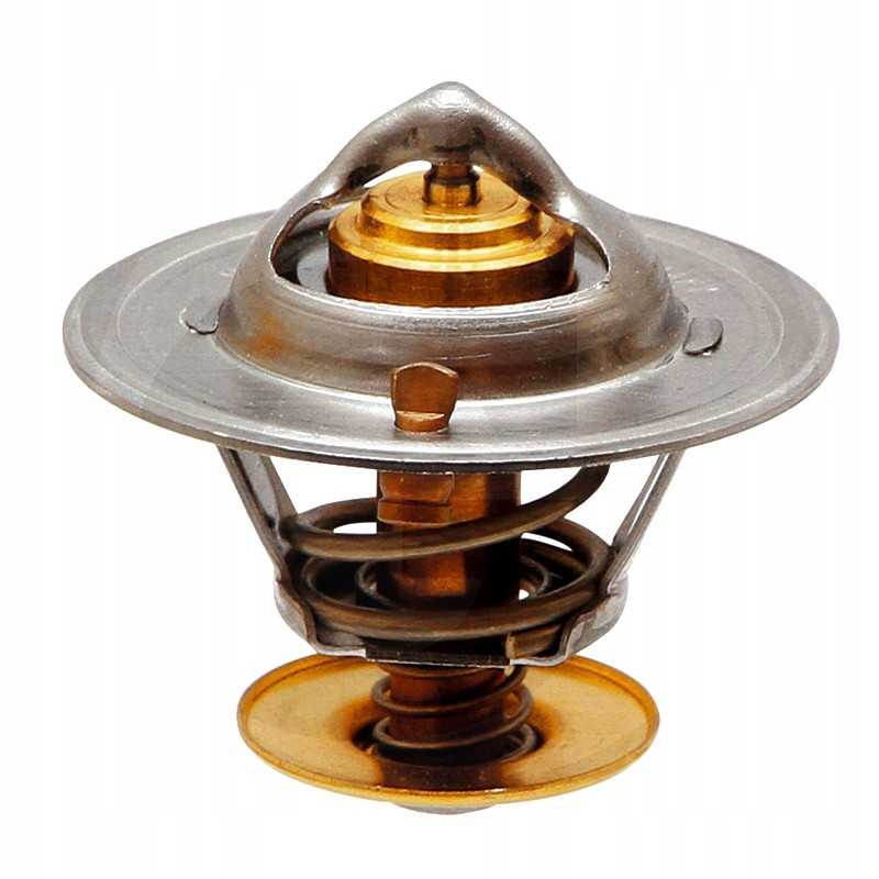 Termostatas 54mm 74702272 granitas