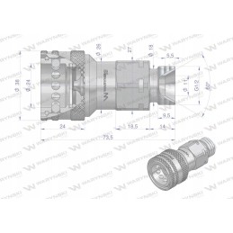 Hidraulinė greitoji jungtis, lizdas G1 2 BSP, sriegis