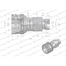 Hidraulinė greitoji jungtis, lizdas G1 2 BSP, sriegis