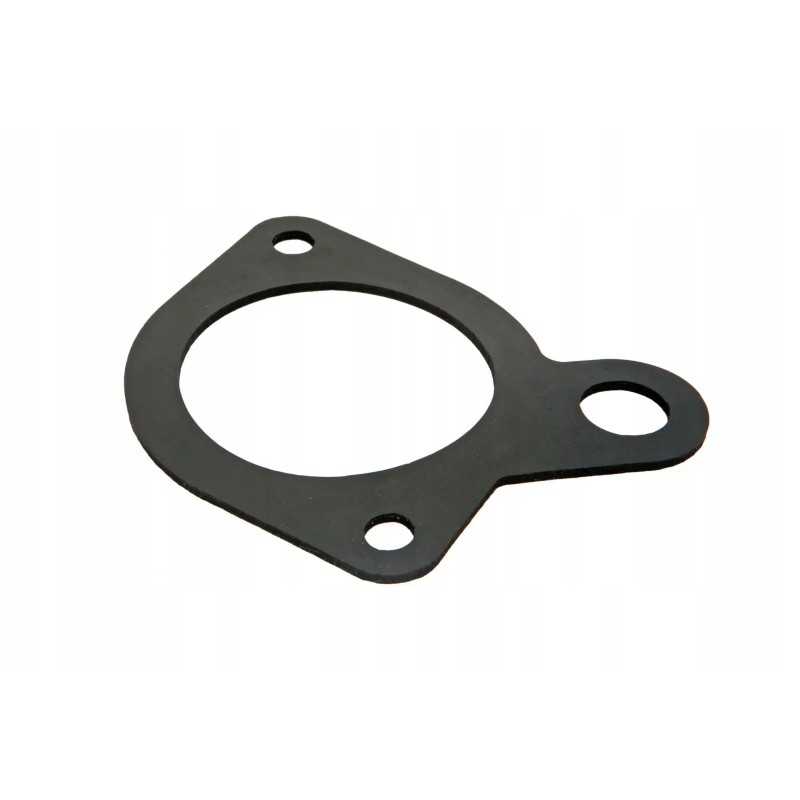 C036648 hidraulinio filtro pagrindo tarpiklis