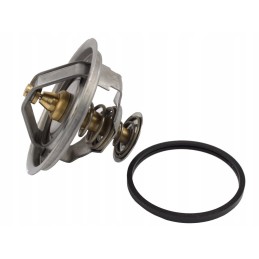 Fendt termostatas g199204010020 130100061001