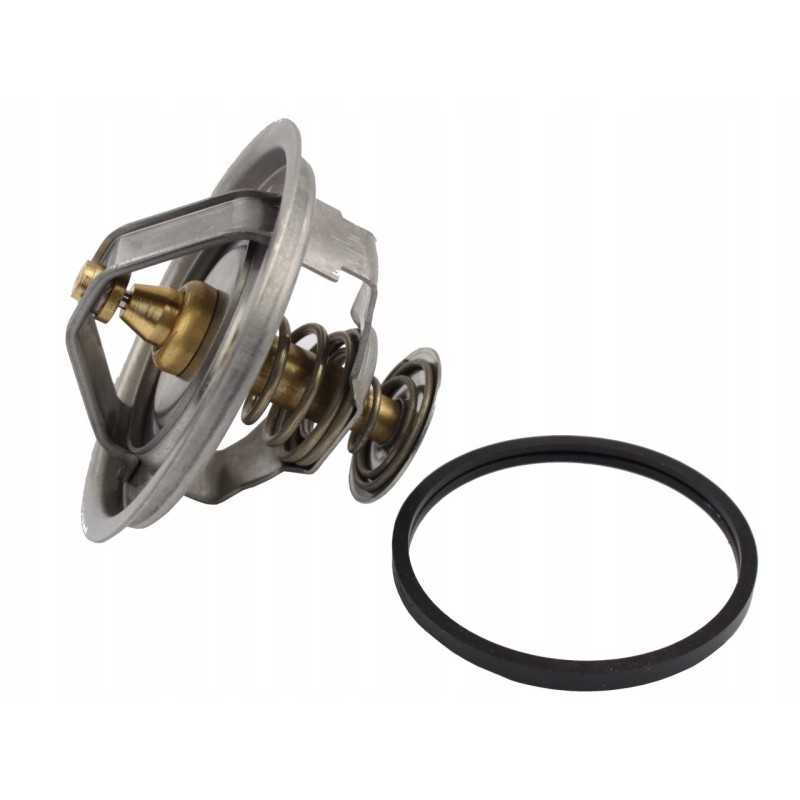 Fendt termostatas g199204010020 130100061001