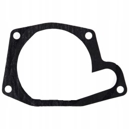 Massey Ferguson vandens siurblio tarpiklis 4223854m1