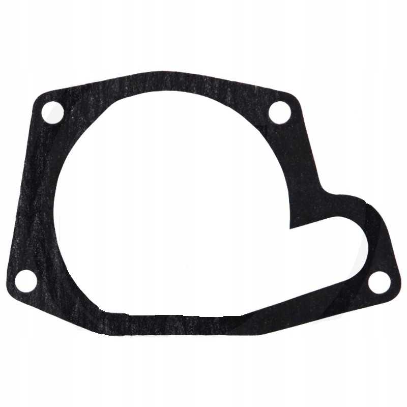 Massey Ferguson vandens siurblio tarpiklis 4223854m1