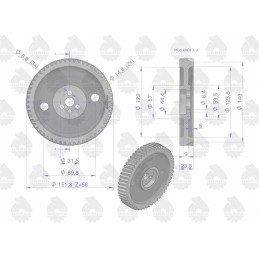 Mf4 įpurškimo siurblio varomasis ratas, originalus Ursus