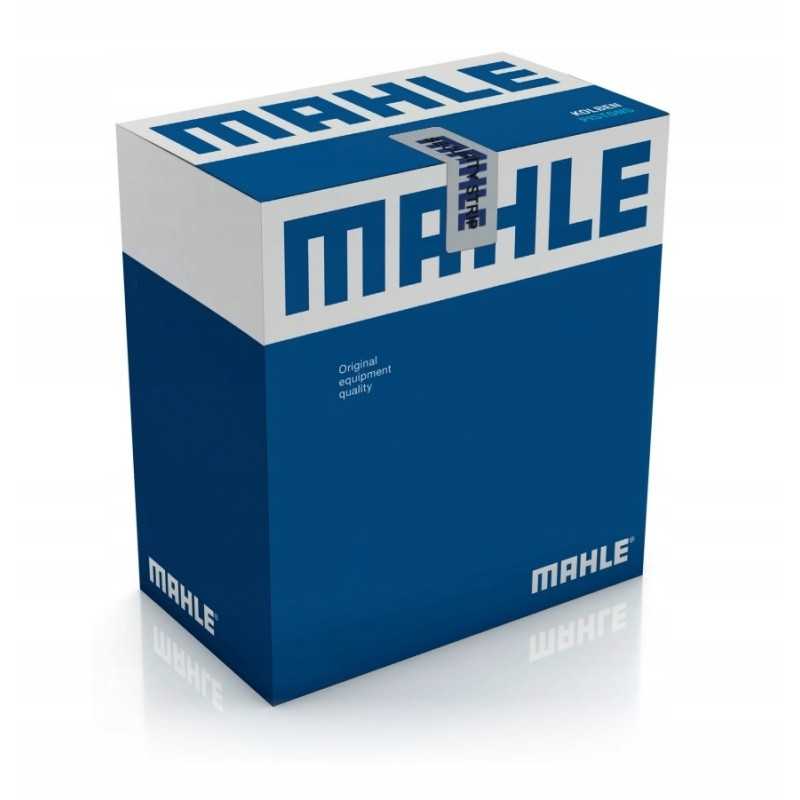 Mahle aa 52 000p oro išleidimo reguliatorius