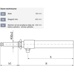 Hidraulinis cilindras 6 mz 6008900