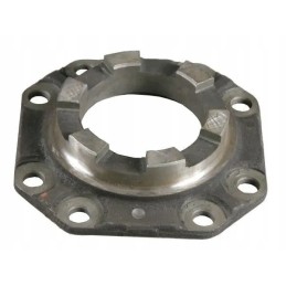 Galutinis diferencialo dangtis