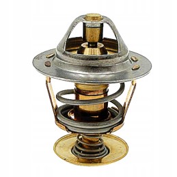 Termostatas 82 c 43mm 74702041 granitas