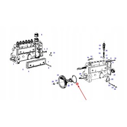 X548958500000 O žiedas 74 5 x 3 mm