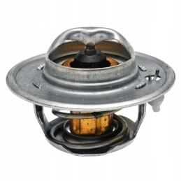 Termostato korpusas David Brown k208039 k917962