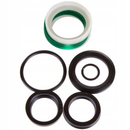 Variatoriaus cilindro sandariklių komplektas f 173 bizon